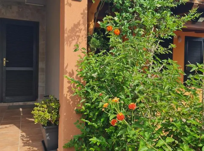 Da Michele 2 Коста Рей